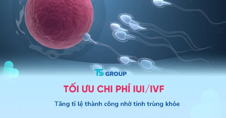 Chi phí làm IUI/IVF quá đắt đỏ? Hãy thử tối ưu tinh trùng bằng Andrositol Plus