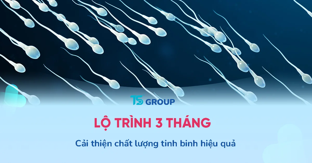 Lộ trình 3 tháng cải thiện chất lượng tinh binh cùng Andrositol Plus