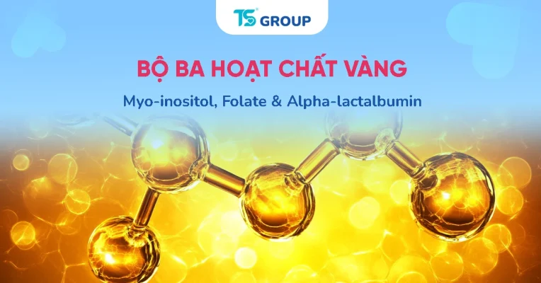 Myo-inositol, folate và alpha-lactalbumin hỗ trợ gì khi chuẩn bị có con?
