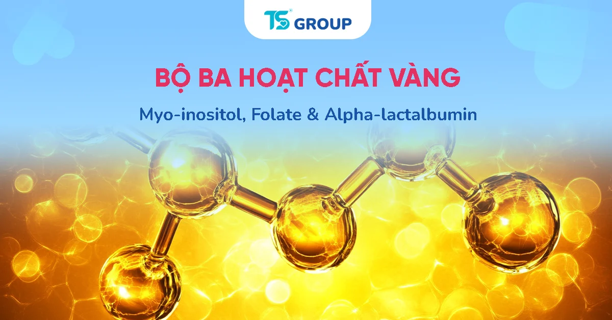 Myo-inositol, folate và alpha-lactalbumin hỗ trợ gì khi chuẩn bị có con?
