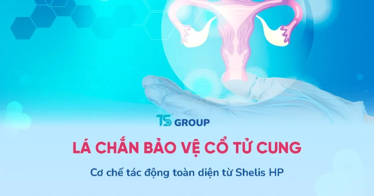 Shelis HP có tác dụng gì? Cơ chế "lá chắn" bảo vệ cổ tử cung toàn diện